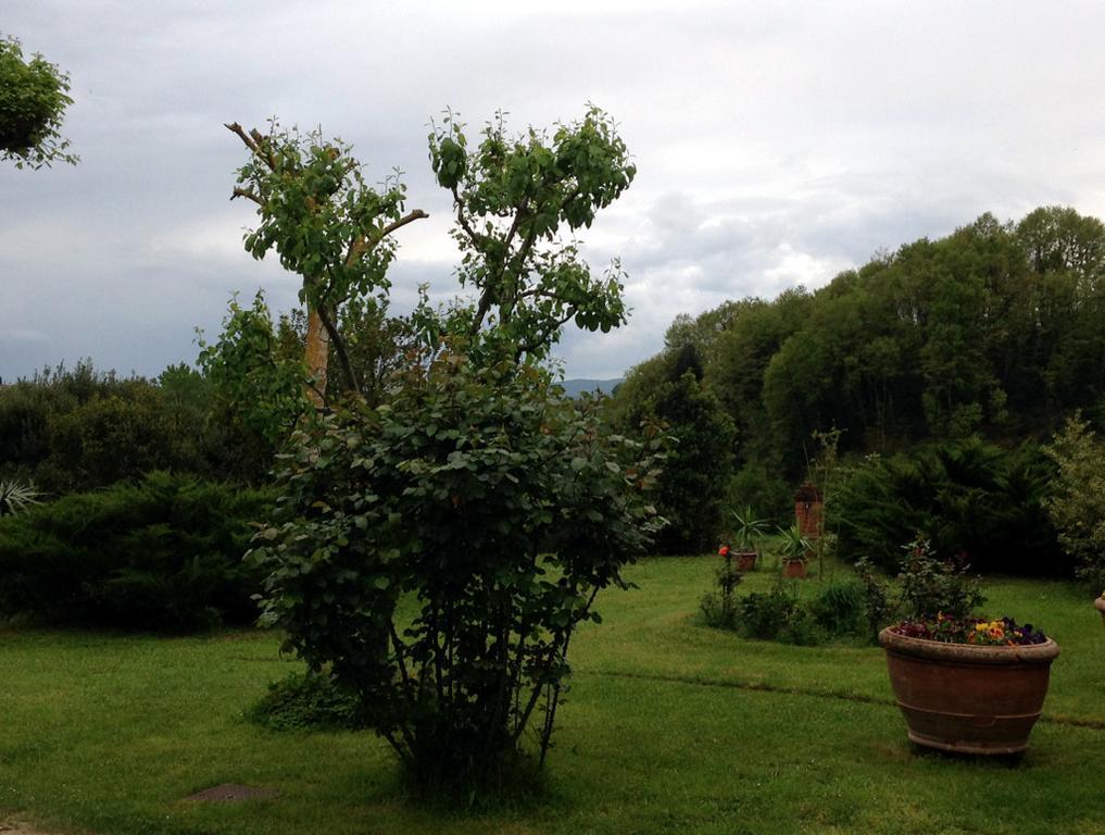 Lovely Tuscan Country House Сиена Екстериор снимка